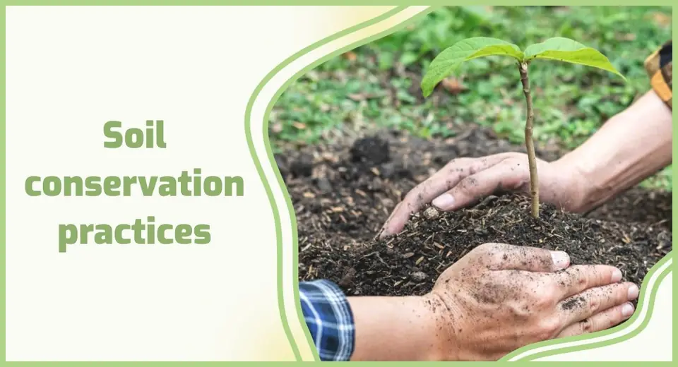 Community-Driven Waste Cleanup
